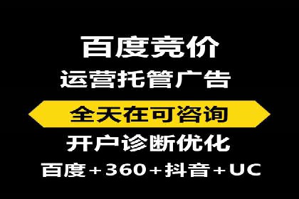 百度竞价推广运营实战技巧与经典案例剖析